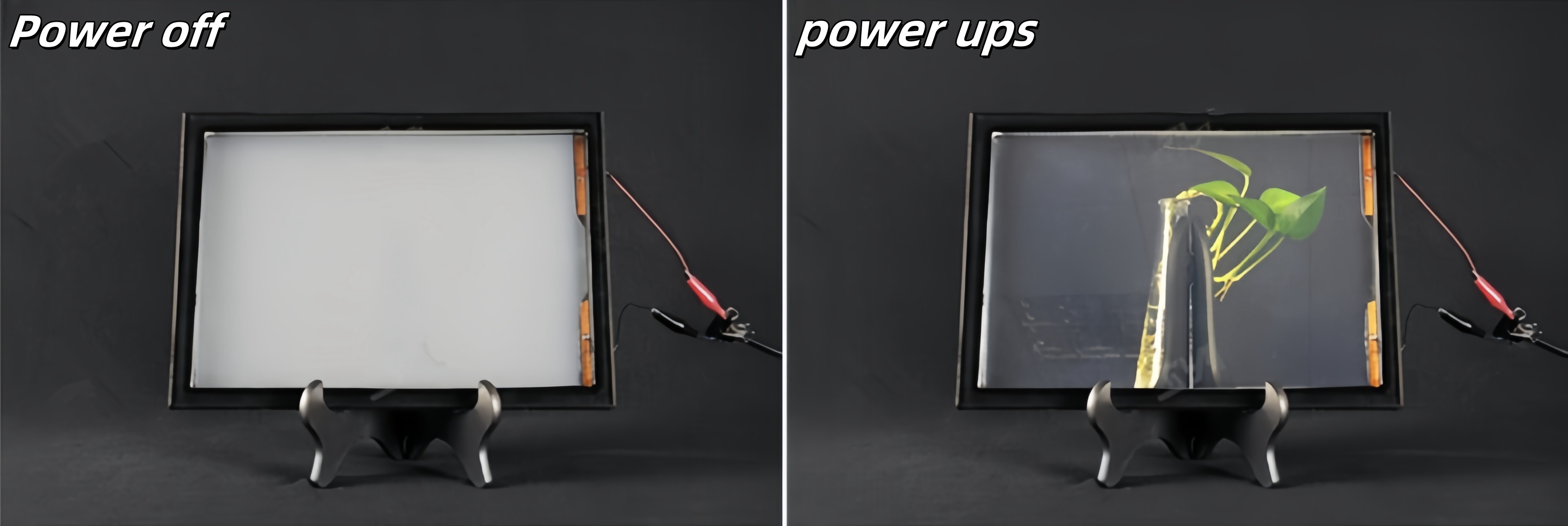 1736926369856_副本