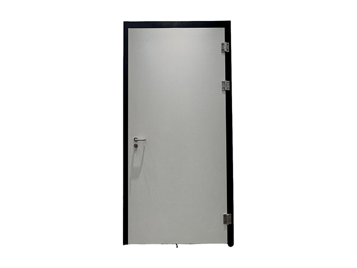 Стальная противопожарная дверь
