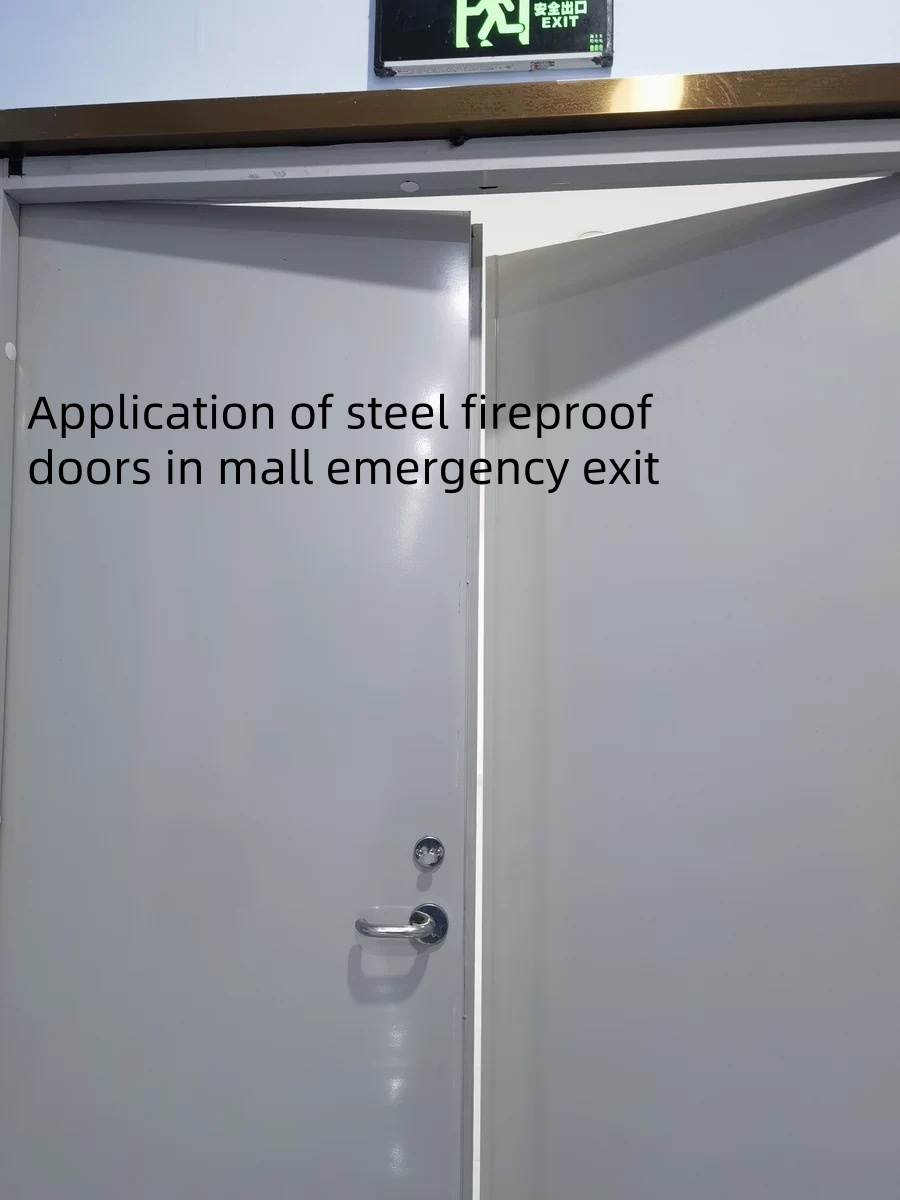 Стальная противопожарная дверь