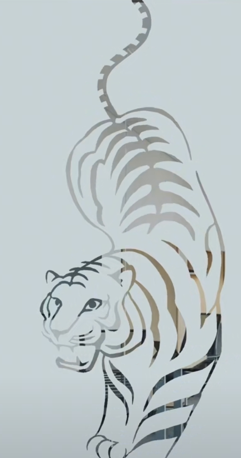 Индивидуальная пленка для затемнения изображения, предлагаемая китайским производителем - Hunan Changxin Technology